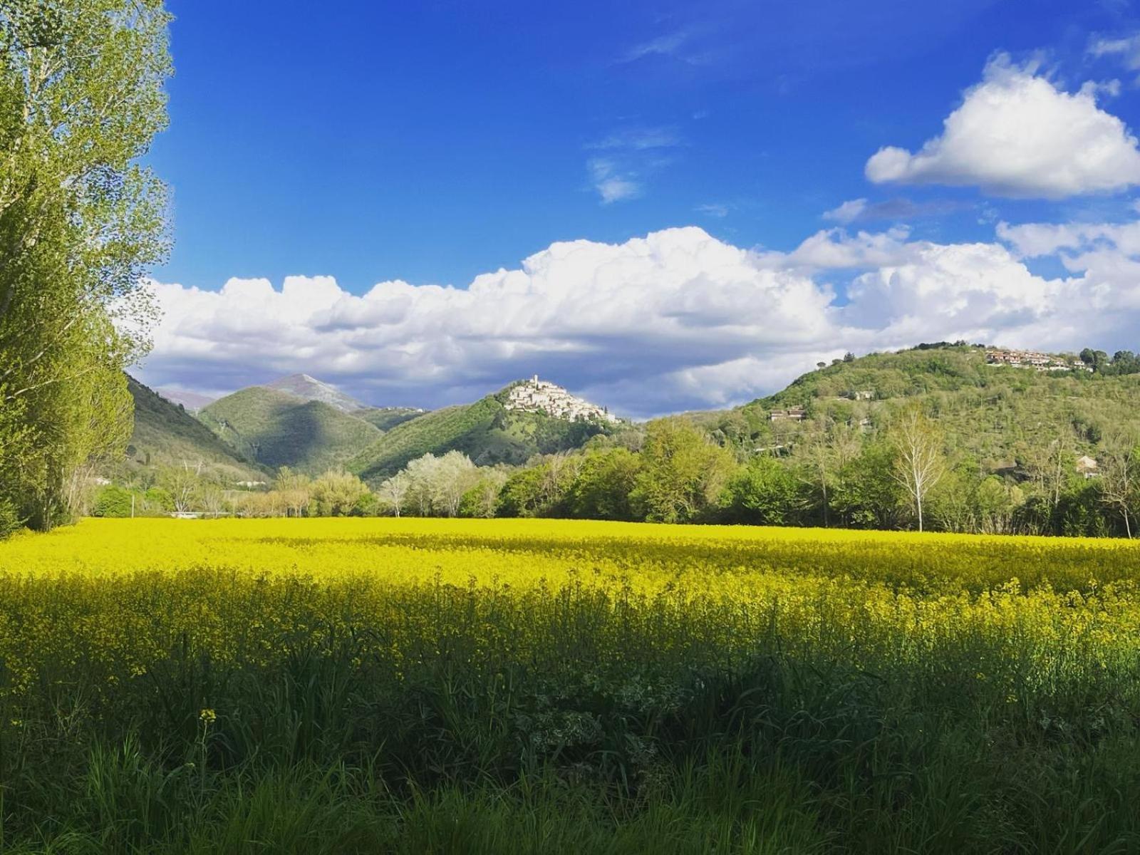 I Segreti Del Lago بيديلوكو المظهر الخارجي الصورة